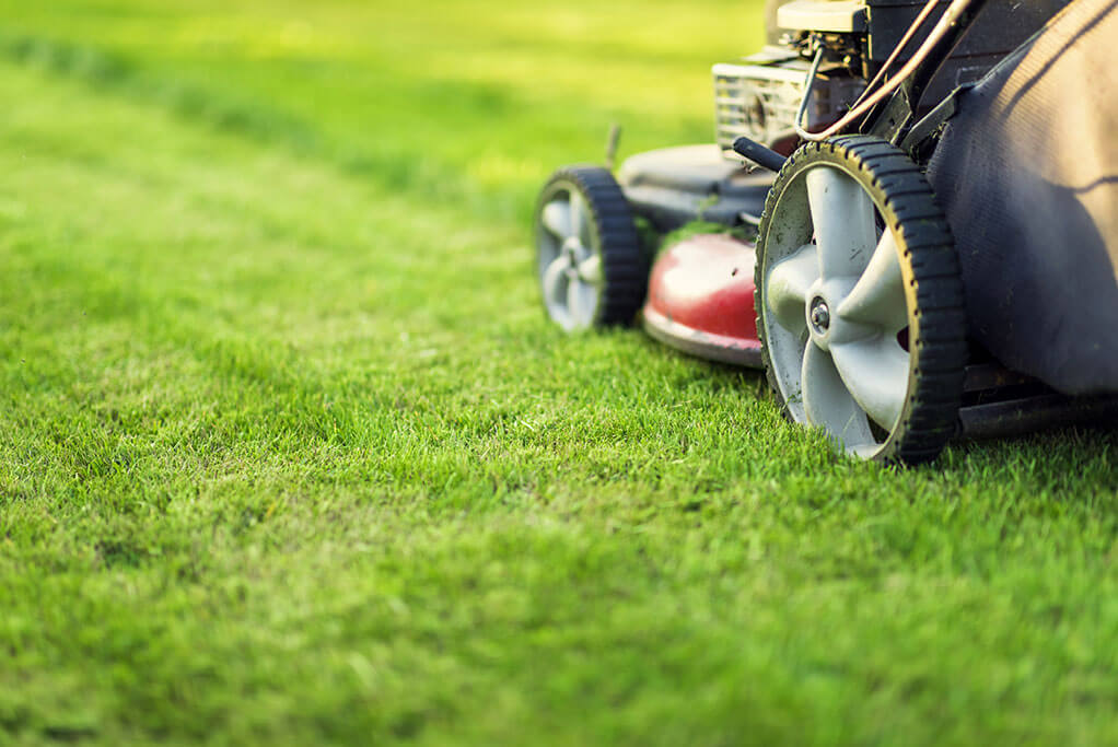 an ongoing lawn care company edmond ok