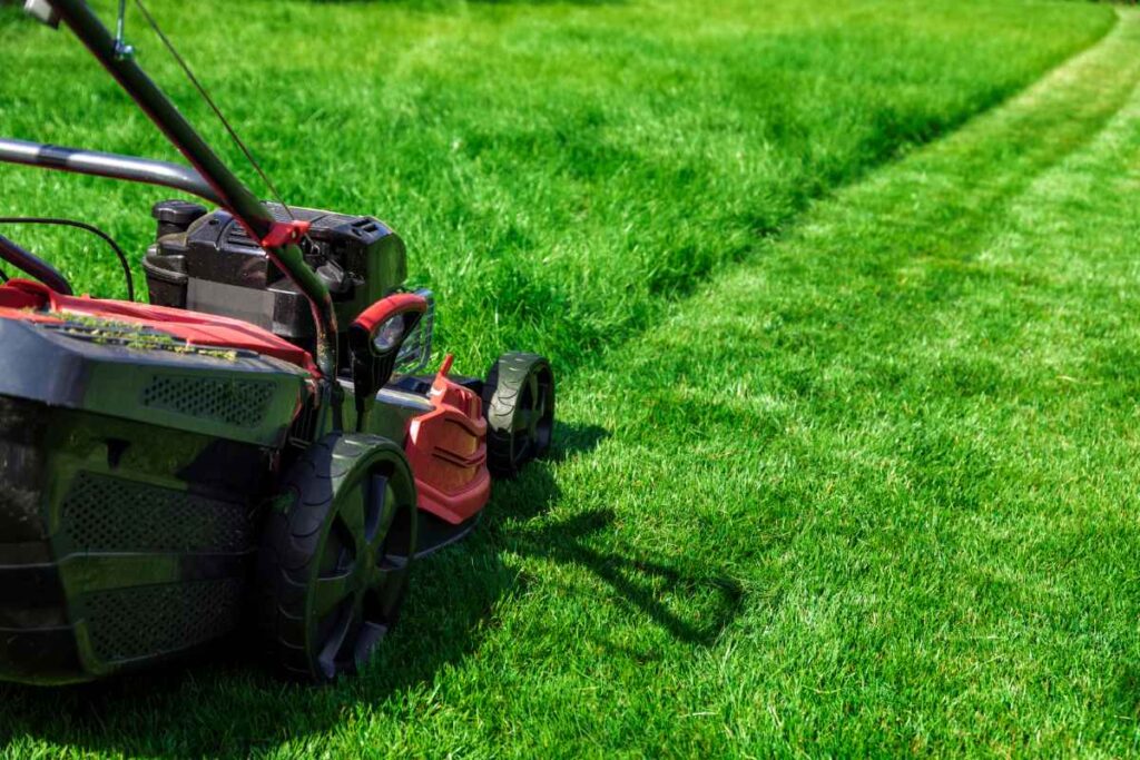 lawn mowing edmond ok